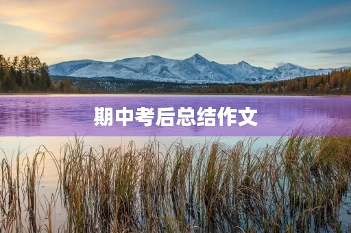 期中考后总结作文