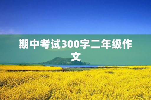 期中考试300字二年级作文 期中考试300字二年级作文