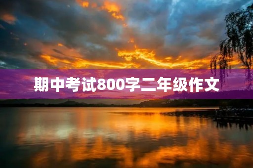 期中考试800字二年级作文