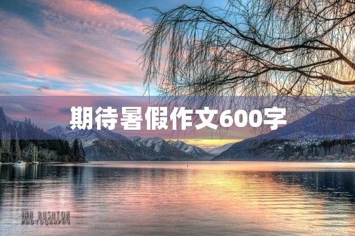 期待暑假作文600字