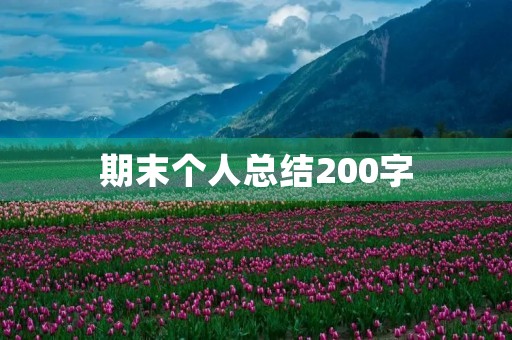 期末个人总结200字