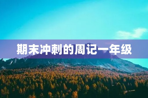 期末冲刺的周记一年级