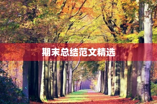 期末总结范文精选