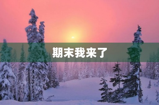 期末我来了 期末我来了