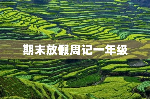 期末放假周记一年级 期末放假周记一年级