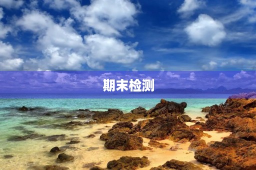 期末检测 期末检测