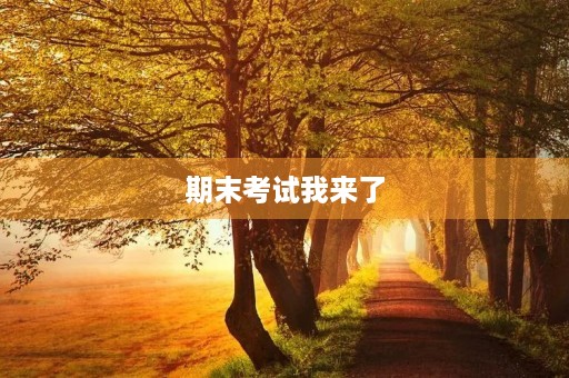 期末考试我来了