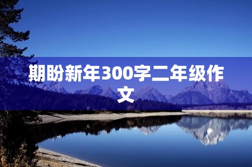 期盼新年300字二年级作文