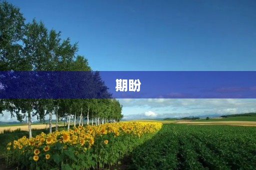 期盼,让我们拥有前进的力量 期盼,让我们拥有前进的力量