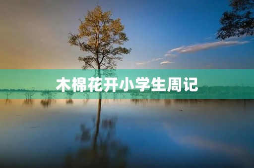 木棉花开小学生周记