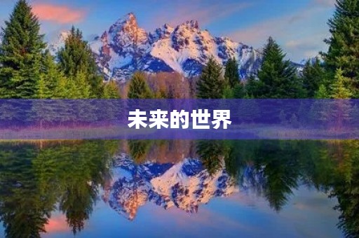 未来的世界，我的未来