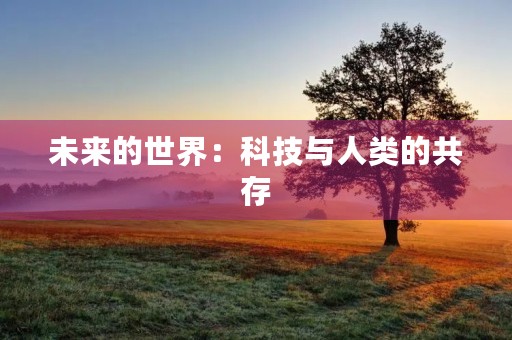 未来的世界：科技与人类的共存