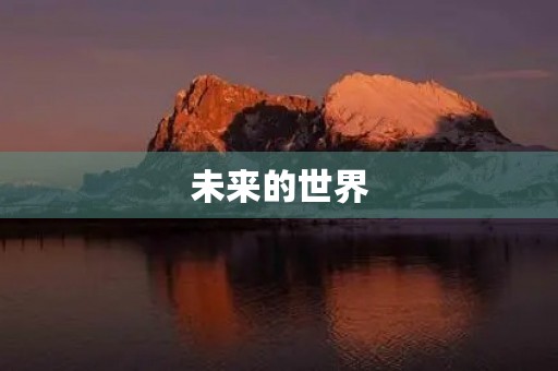 未来的世界 未来的世界