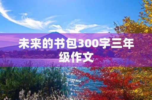 未来的书包300字三年级作文