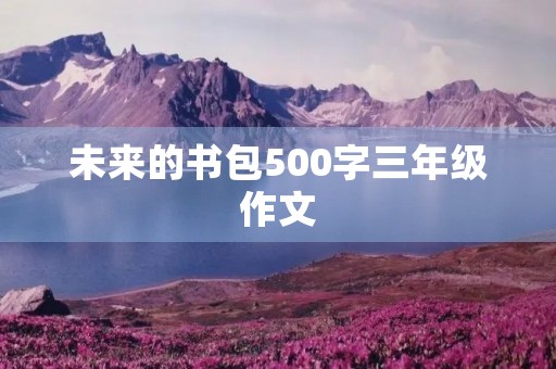 未来的书包500字三年级作文