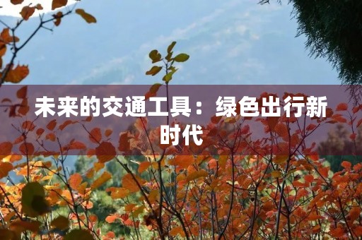 未来的交通工具：绿色出行新时代