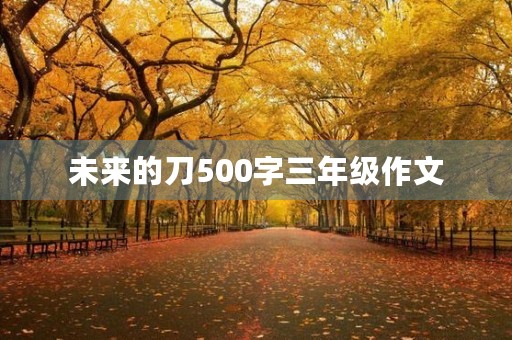 未来的刀500字三年级作文