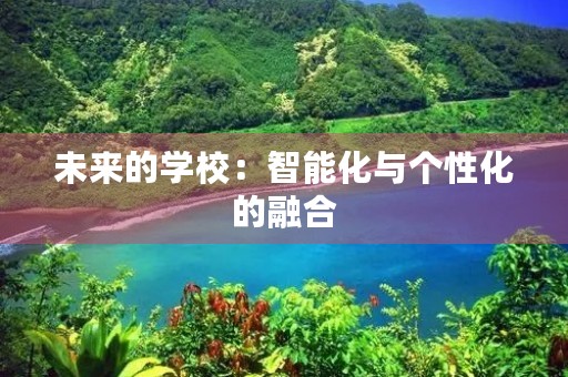未来的学校:智能化与个性化的融合 未来的学校:智能化与个性化的融合