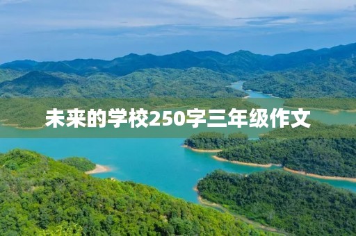 未来的学校250字三年级作文