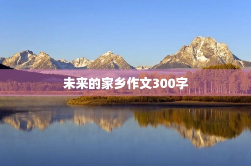 未来的家乡作文300字