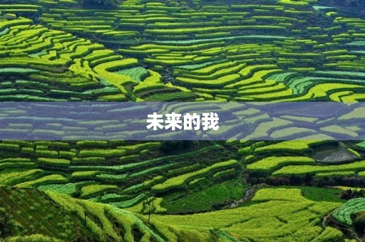 未来的我 未来的我