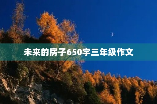 未来的房子650字三年级作文