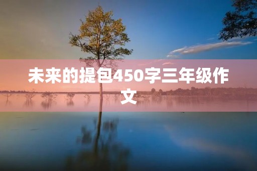 未来的提包450字三年级作文 未来的提包450字三年级作文
