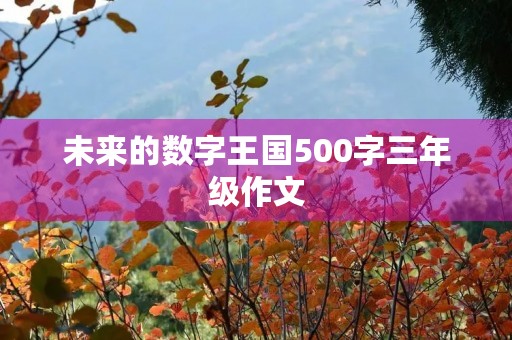 未来的数字王国500字三年级作文