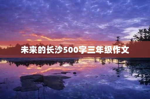 未来的长沙500字三年级作文