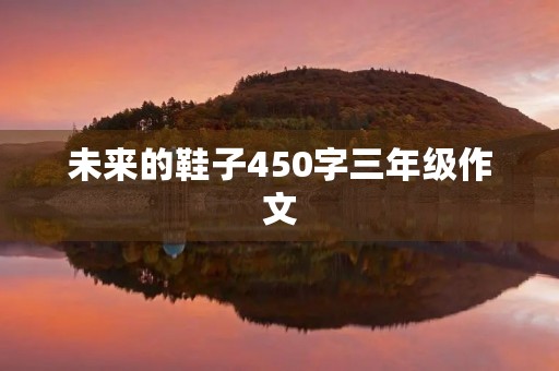 未来的鞋子450字三年级作文