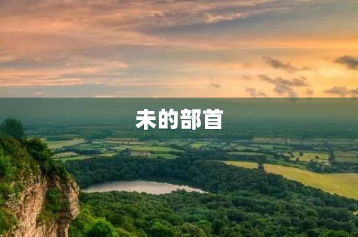未的部首(未的部首) 未的部首(未的部首)