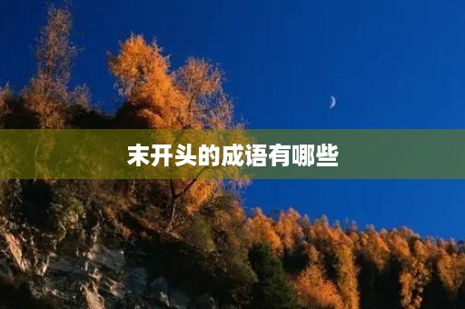 末开头的成语有哪些