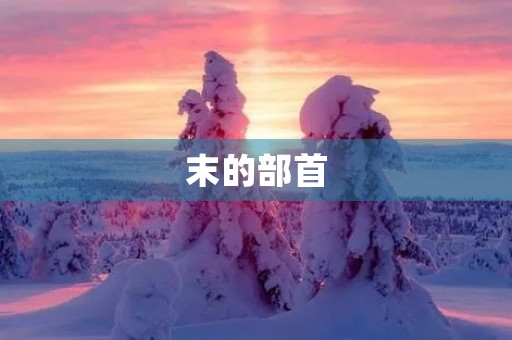 末的部首(末组词)