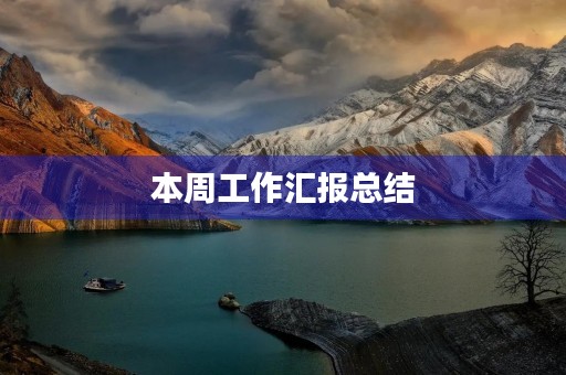 本周工作汇报总结