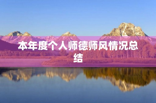本年度个人师德师风情况总结