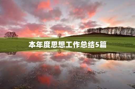 本年度思想工作总结5篇