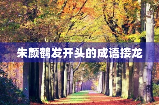 朱颜鹤发开头的成语接龙