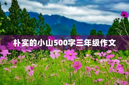 朴实的小山500字三年级作文 朴实的小山500字三年级作文