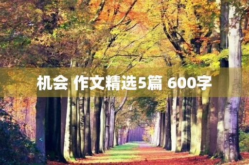 机会 作文精选5篇 600字