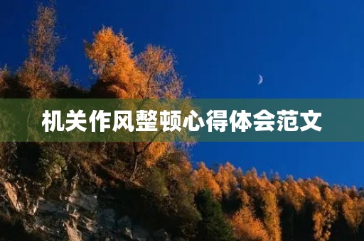 机关作风整顿心得体会范文
