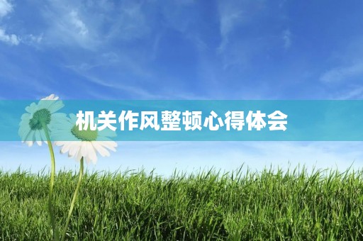 机关作风整顿心得体会 机关作风整顿心得体会