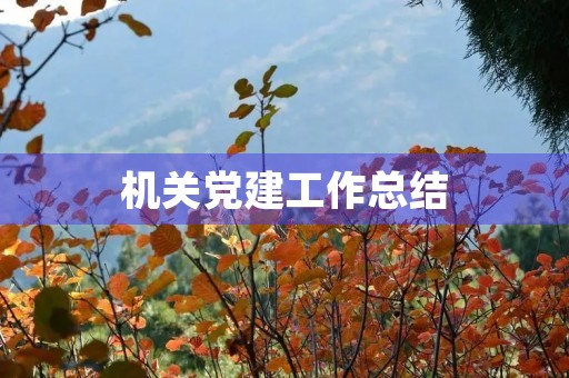 机关党建工作总结(机关单位党建工作年度总结范文)