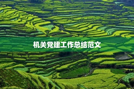 机关党建工作总结范文 机关党建工作总结范文