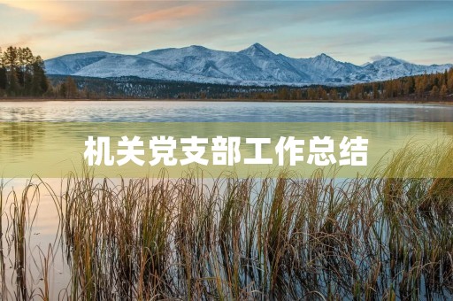 机关党支部工作总结