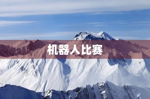 机器人比赛 机器人比赛