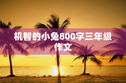 机智的小兔800字三年级作文 机智的小兔800字三年级作文