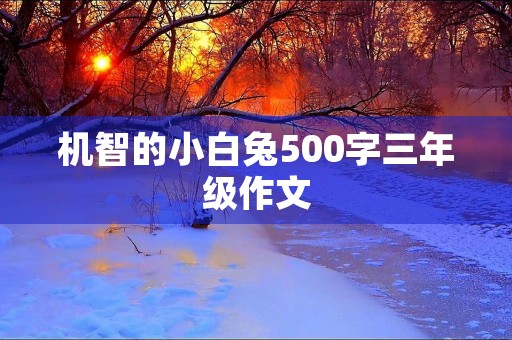 机智的小白兔500字三年级作文