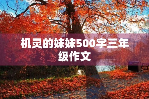 机灵的妹妹500字三年级作文