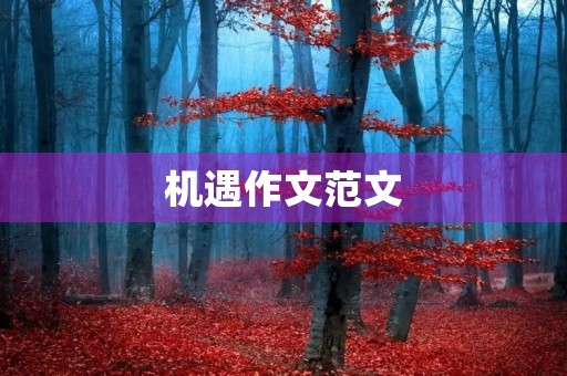 机遇作文范文 机遇作文范文