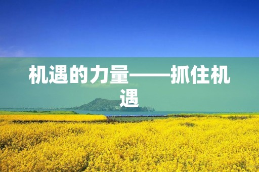 机遇的力量——抓住机遇，开创未来